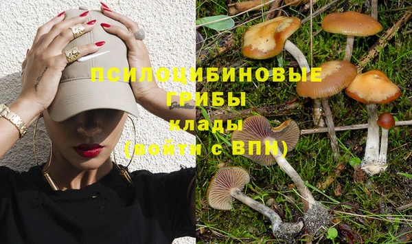 экстази Рославль