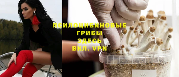 гидропоника Ростов