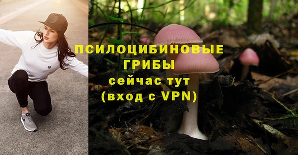 экстази Рославль
