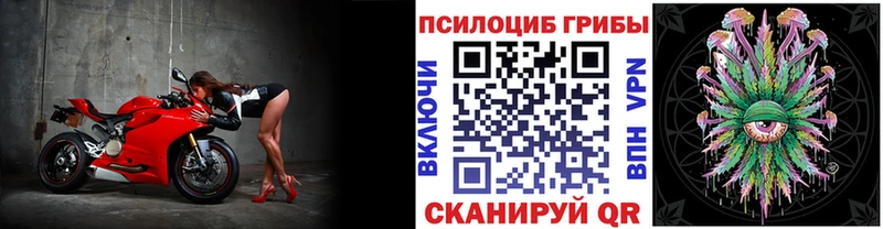 Купить Шарыпово Галлюциногенные грибы прущие грибы